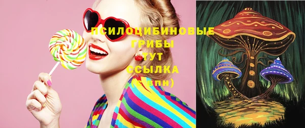 не бодяженный Алексин