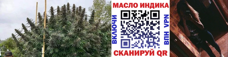 OMG ТОР  Тихвин  ТГК Wax 