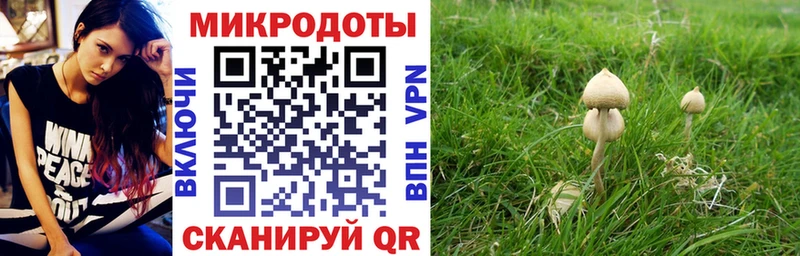 Галлюциногенные грибы мицелий  мега ТОР  Тихвин  магазин продажи наркотиков 